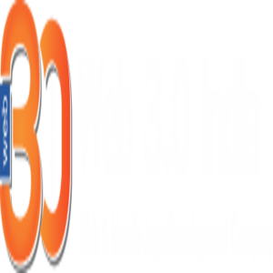 Web30India